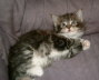 Shenna 009