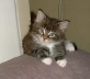 Shenna 012