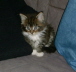 Shenna 016