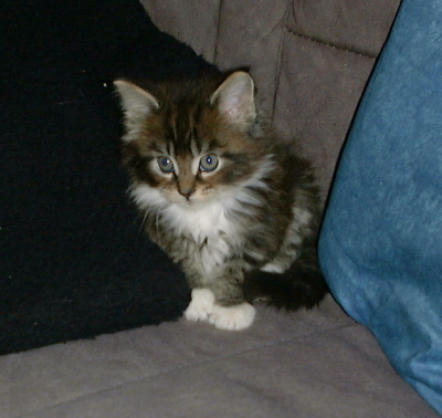 Shenna 016