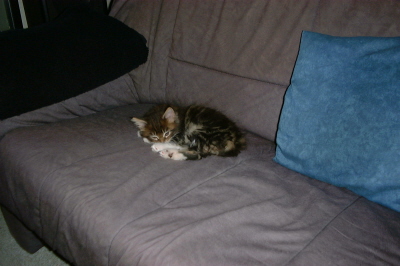 Weibchen03 (3)