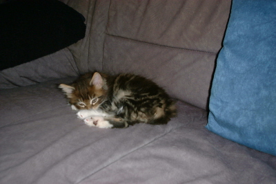 Weibchen03 (4)