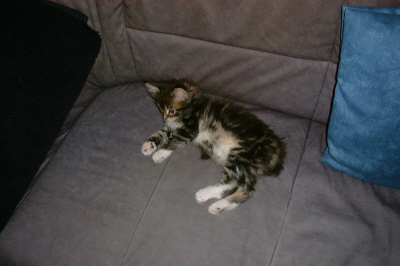 Weibchen03 (6)