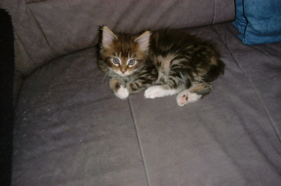 Weibchen03 (8)
